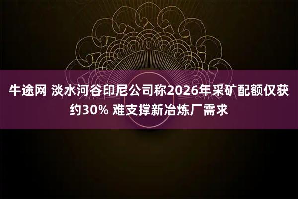 牛途网 淡水河谷印尼公司称2026年采矿配额仅获约30% 难支撑新冶炼厂需求