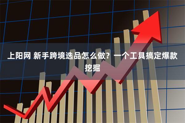 上阳网 新手跨境选品怎么做？一个工具搞定爆款挖掘