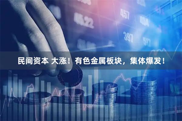 民间资本 大涨！有色金属板块，集体爆发！