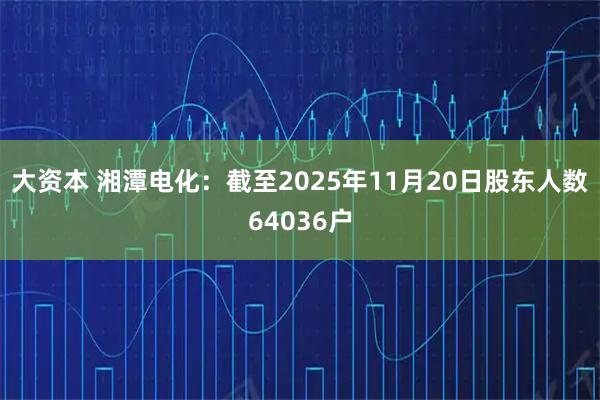 大资本 湘潭电化：截至2025年11月20日股东人数64036户